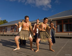 Maori Culture Traditions History Information New Zealand