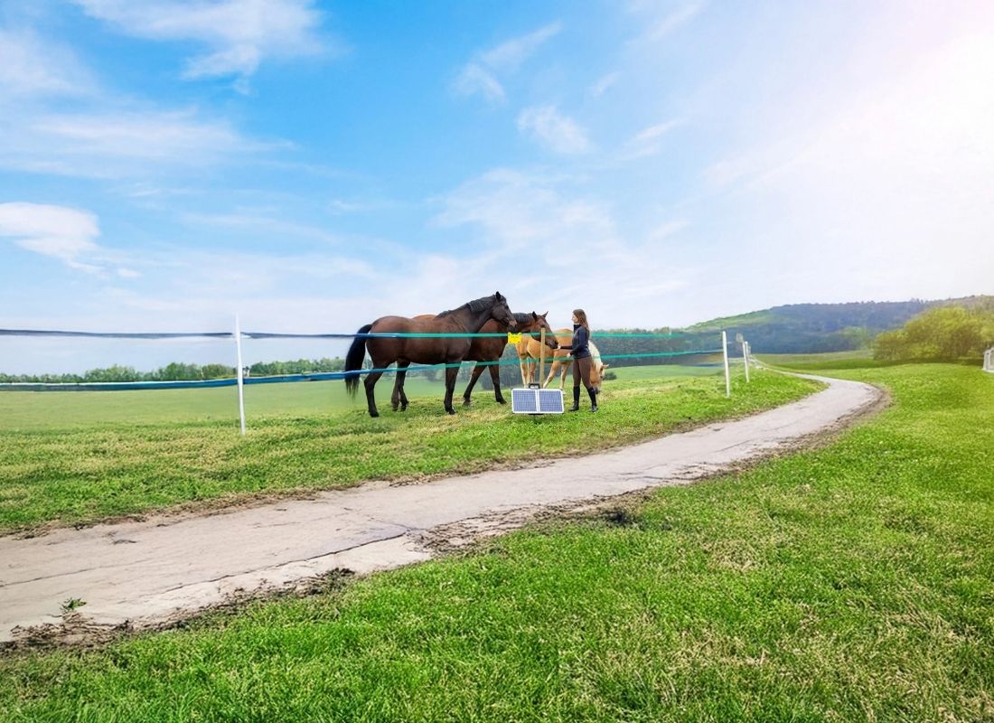 Example of a safe and visible equine electric fence