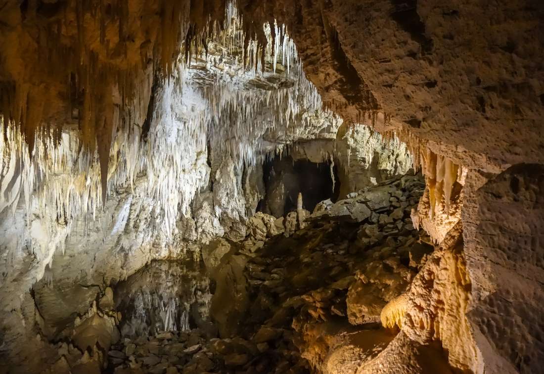 Visit the Waitomo Caves in New Zealand