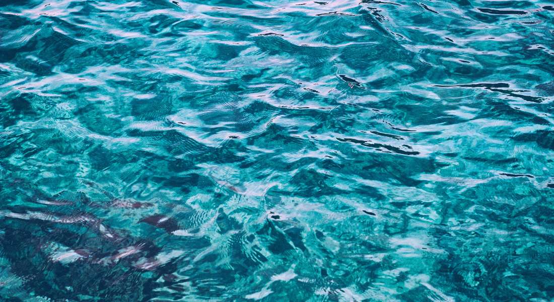 Sustainable outcomes to reduce water usage