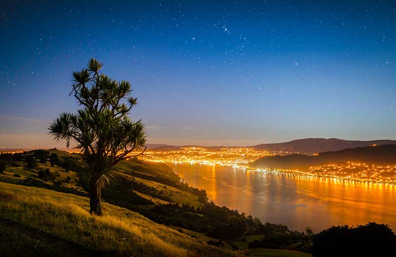 Otago Peninsula, Dunedin. Copyright: DunedinNZ Otago Peninsula, Dunedin. Copyright: DunedinNZ