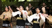 Ko Tane Cultural Perfomance