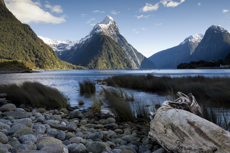 Opulence Tours of New Zealand