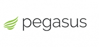 Pegasus Systems