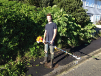 Gardening Service Wellington