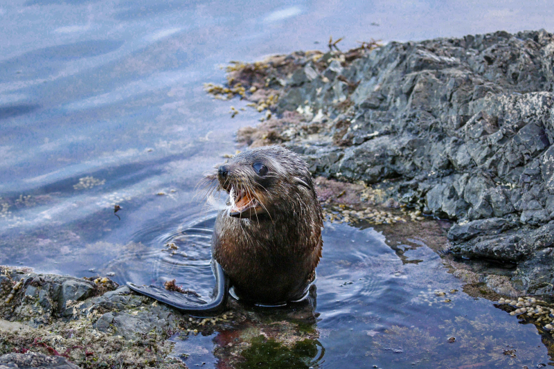 Driftwood Eco-Tours