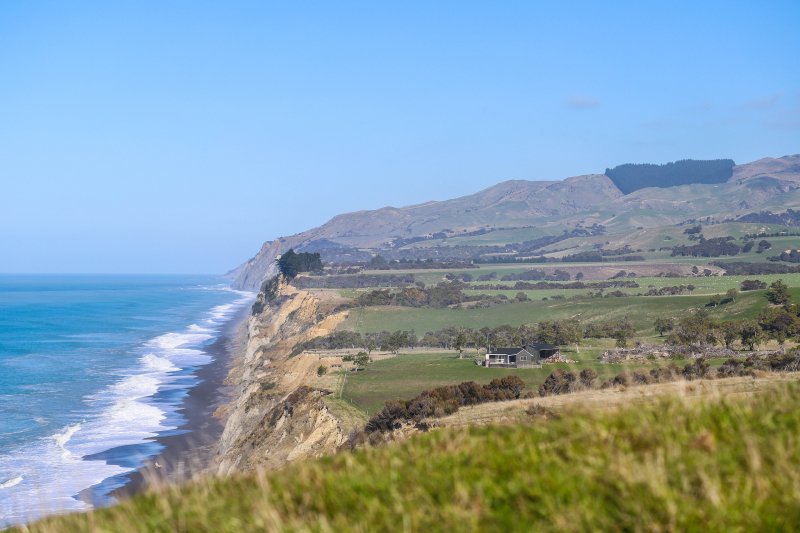 Driftwood Eco-Tours