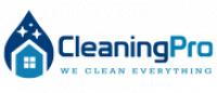 Carpet Cleaning Pro