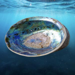 Amoa Seafoods Ltd