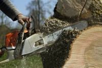 ArboristsLowerHutt.co.nz