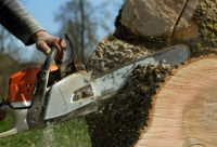 ArboristsTimaru.co.nz