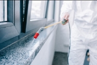 PestControlRolleston.co.nz