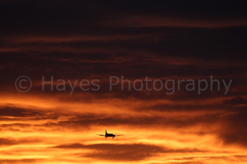 Hayes Photography Online Only Online Stores New Zealand